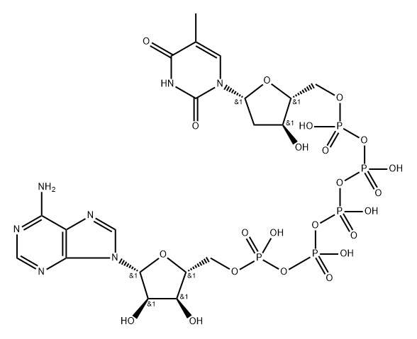 AP5dT Struktur