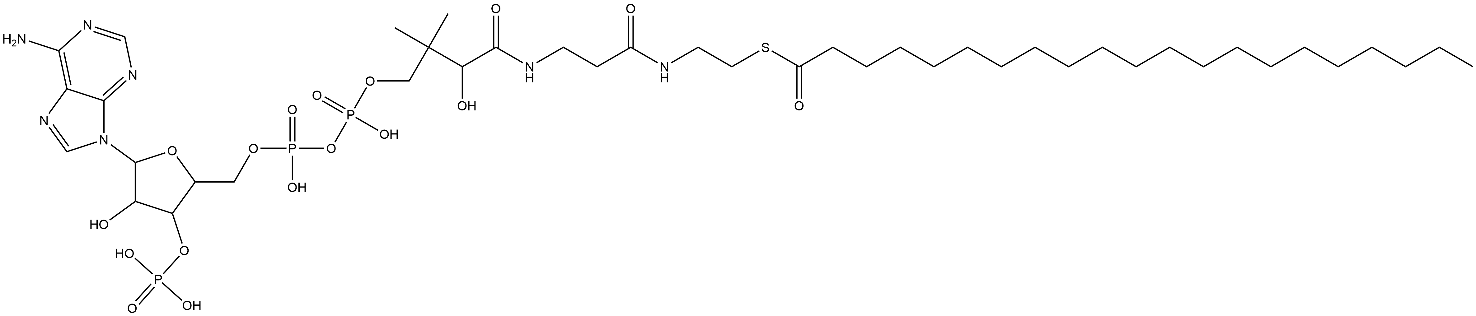 Coenzyme A, S-heneicosanoate (9CI) Struktur