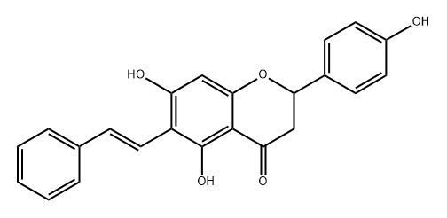 6 CEPN Struktur