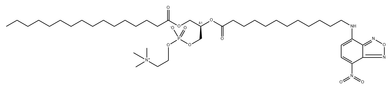 NBD-C<sub>12</sub>-HPC  [2-(12-(7-Nitrobenz-2-oxa-1,3-diazol-4-yl)aMino)dodecanoyl-1-hexadecanoyl-sn-glycero-3-phosphocholine] Struktur