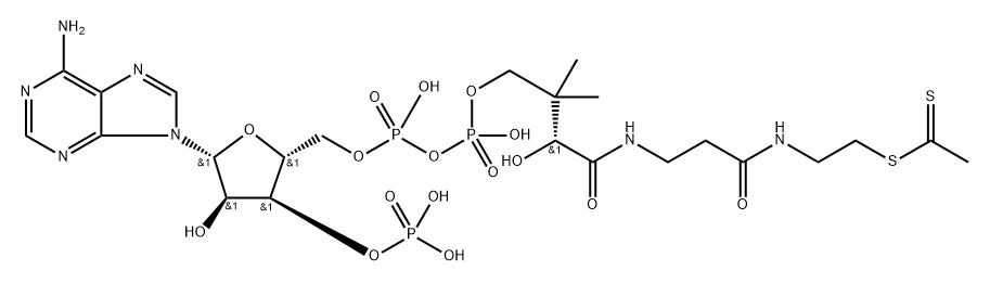 acetyldithio-coenzyme A Struktur