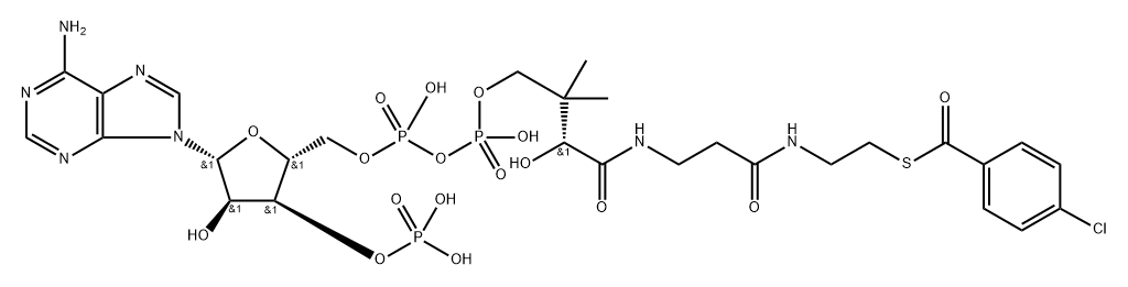 4-chlorobenzoyl coenzyme A Struktur