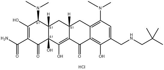 Omadacycline (hydrochloride) Struktur