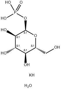 α-D-Glucose 1-Phosphate DipotassiuM Salt Hydrate Struktur