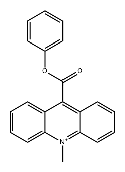 9-phenylcarboxylate-10-methylacridinium Struktur