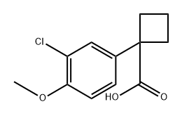 1-(3-chloro-4-methoxyphenyl)cyclobutane-1-carboxylic acid Struktur