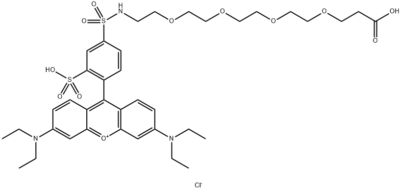 Lissamine Rhodamine B sulfonamide-dPEG4-acid(Chloride) Struktur