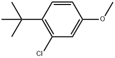 1-tert-Butyl-2-chloro-4-methoxy-benzene Struktur