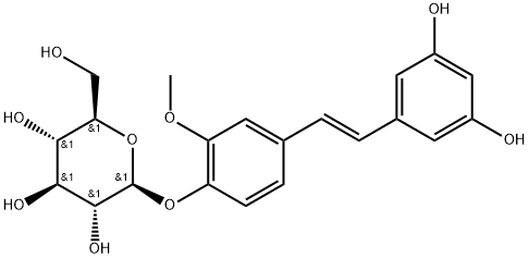 グネチホリンE 化學(xué)構(gòu)造式