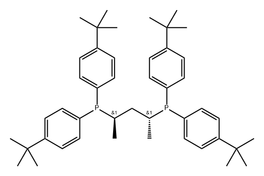 Phosphine, 1,1'-[(1R,3R)-1,3-dimethyl-1,3-propanediyl]bis[1,1-bis[4-(1,1-dimethylethyl)phenyl]- Struktur