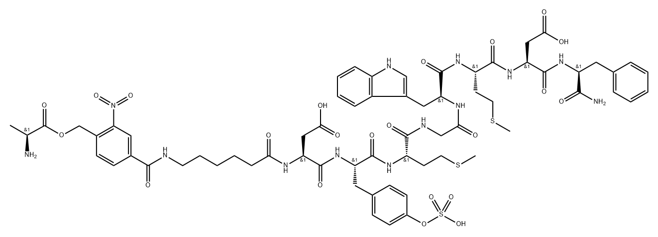 4-alanyloxymethyl-3-nitrobenzoyl-epsilon-aminohexanoyl-cholecystokinin Struktur