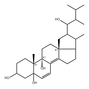 Mer NF8054A Struktur