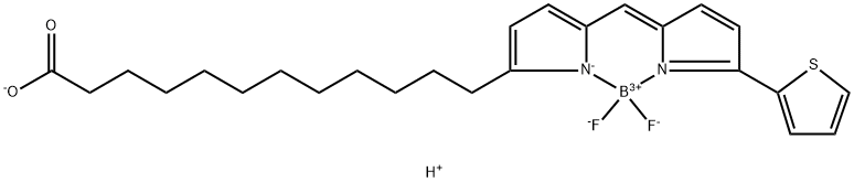 BODIPY 558/568 C12 Struktur