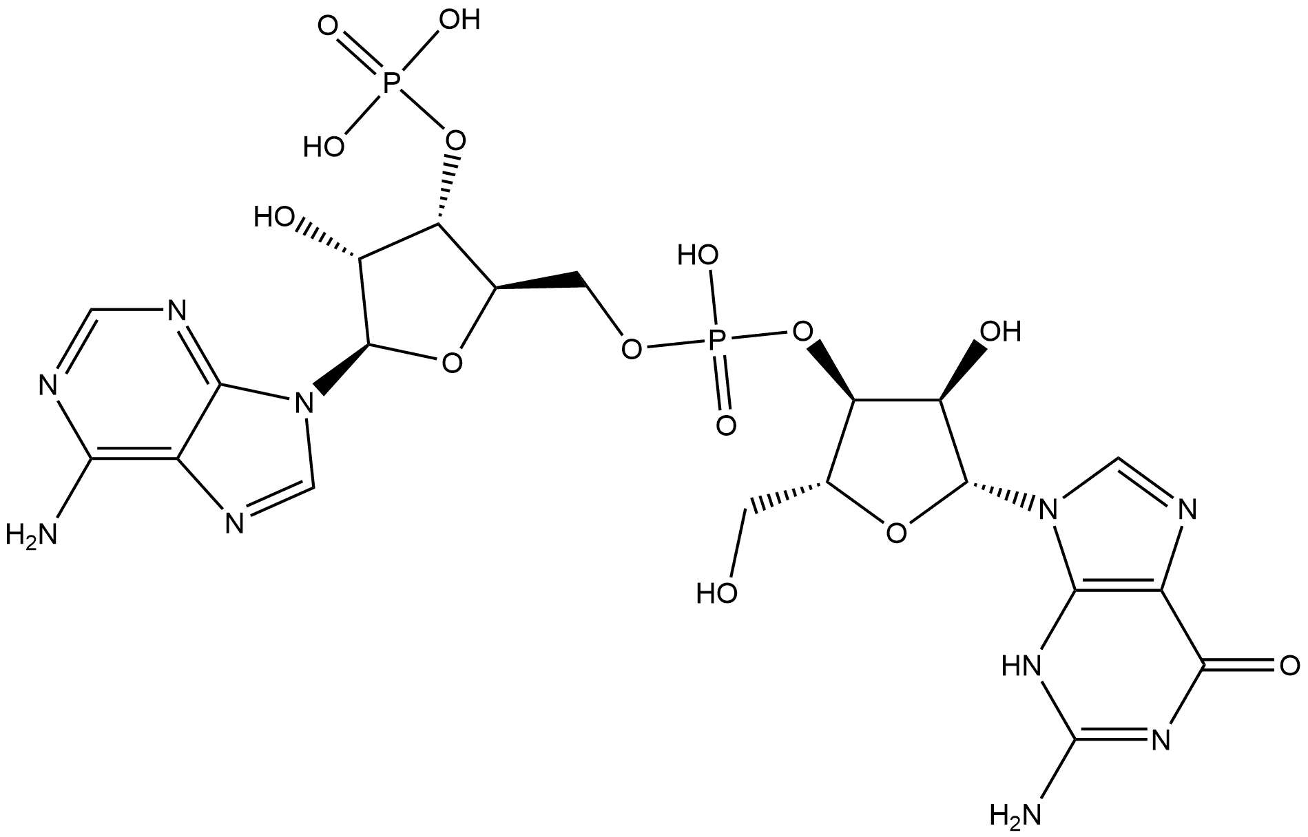 GpAp Struktur