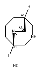 rac-(1S,5R)-9-methyl-3,9-diazabicyclo[3.3.2]decan-10-one dihydrochloride Struktur