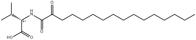 GK241 Struktur