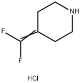 4-(difluoromethylidene)piperidine hydrochloride Struktur