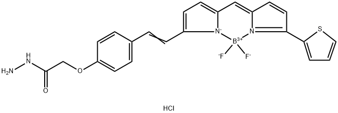 BDP 630/650 hydrazide Struktur