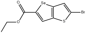 INDEX NAME NOT YET ASSIGNED Struktur