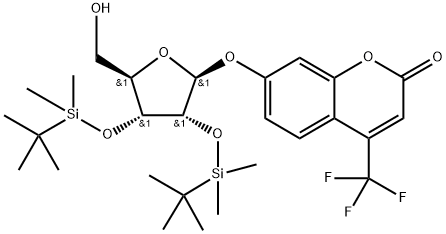 INDEX NAME NOT YET ASSIGNED Struktur