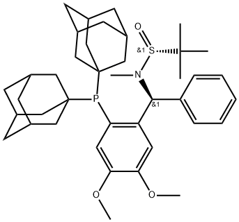 INDEX NAME NOT YET ASSIGNED Struktur