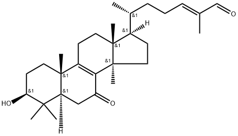 Lucidal Struktur