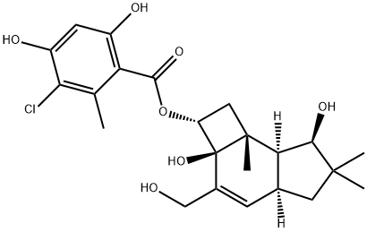 melleolide M Struktur