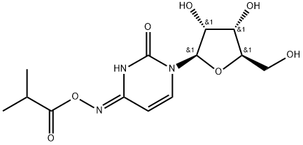 INDEX NAME NOT YET ASSIGNED Struktur