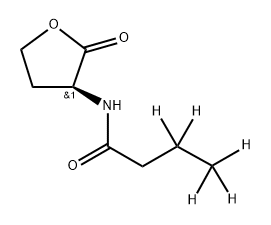 INDEX NAME NOT YET ASSIGNED Struktur