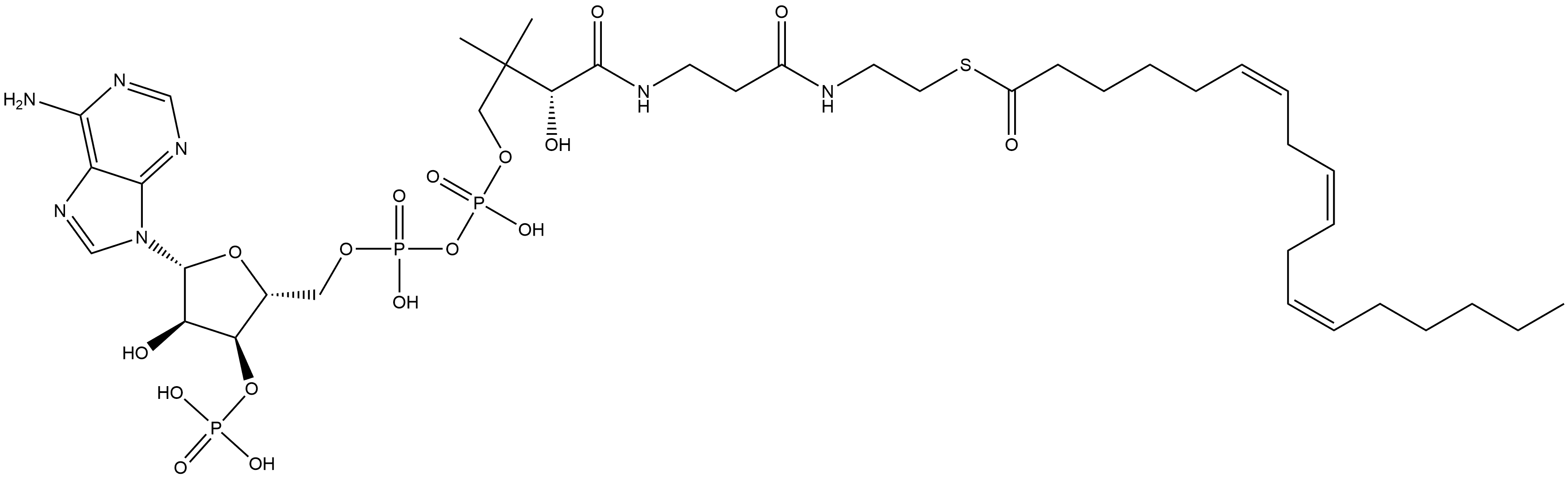 Coenzyme A, S-(6Z,9Z,12Z)-6,9,12-octadecatrienoate Struktur