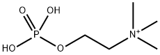 Phosphorylcholine Struktur