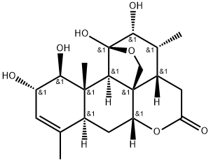 chaparrin Struktur