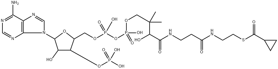 S-cyclopropanecarboxyl-coenzyme A Struktur