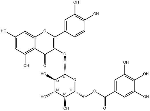 Quercetin 3-O-(6''-galloyl)-β-D-glucopyranoside