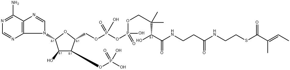 tiglyl-coenzyme A Struktur