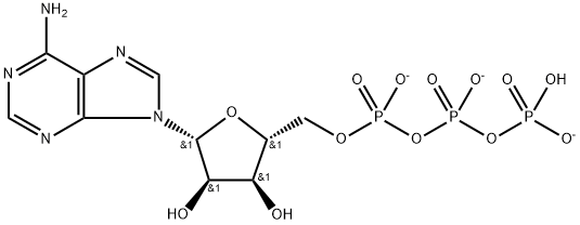 Adenosine 5'-(tetrahydrogen triphosphate), ion(3-) Struktur