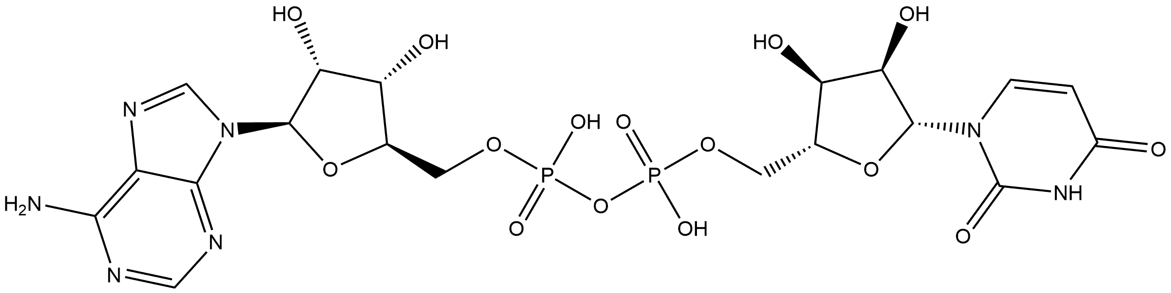 Adenosine 5'-(trihydrogen diphosphate), P'→5'-ester with uridine Struktur