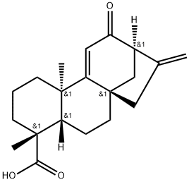 12-Oxograndiflorenic acid Struktur