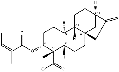 ent-3β-アンゲロイルオキシ-kaur-16-エン-19-酸