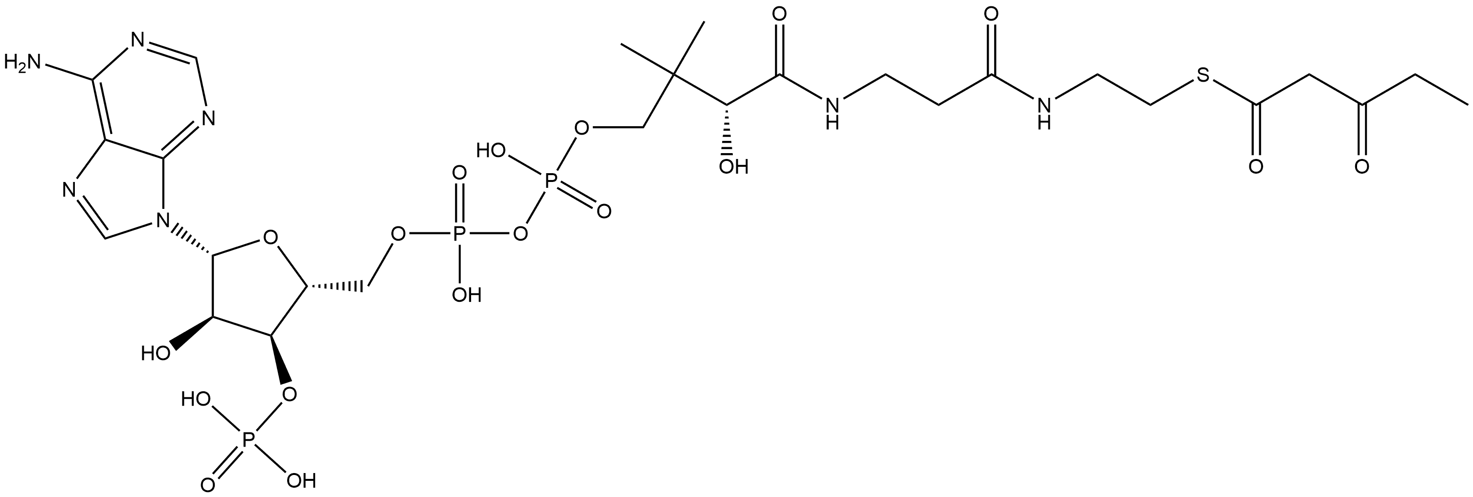 Coenzyme A, S-(3-oxopentanoate) Struktur