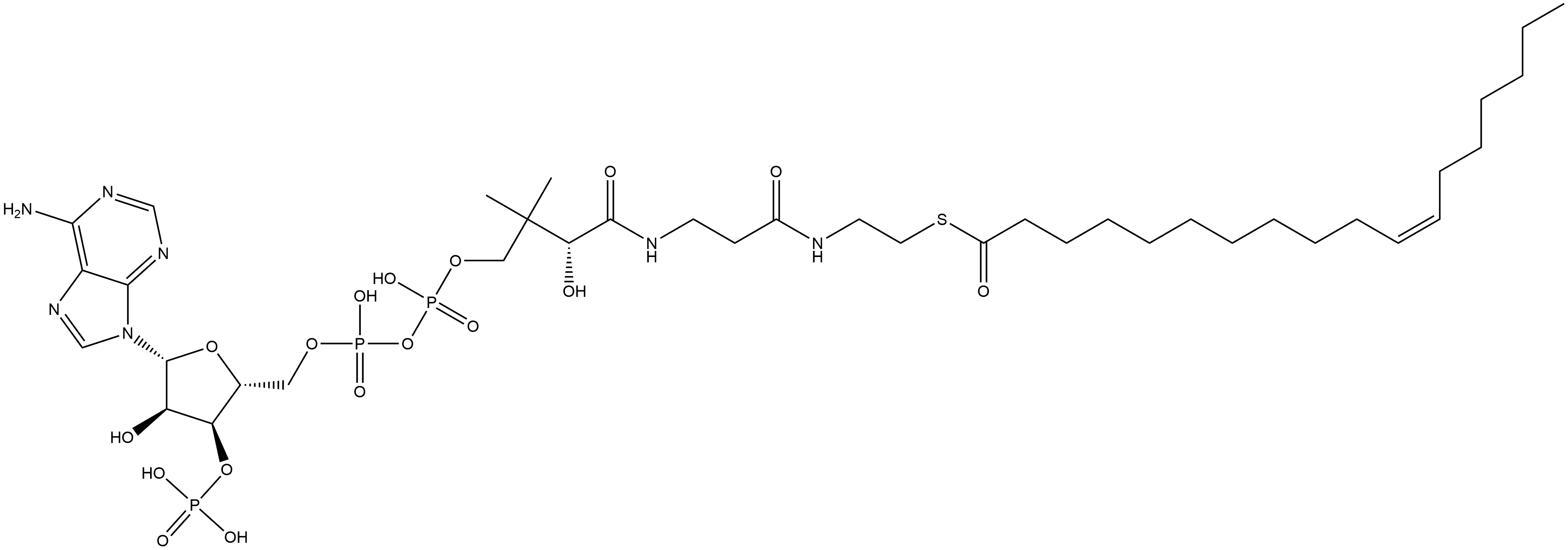 Coenzyme A, S-(11Z)-11-octadecenoate Struktur