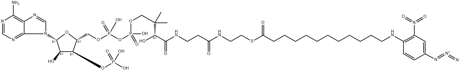 N-(4'-azido-2'-nitrophenyl)-12-aminododecanoyl-coenzyme A Struktur