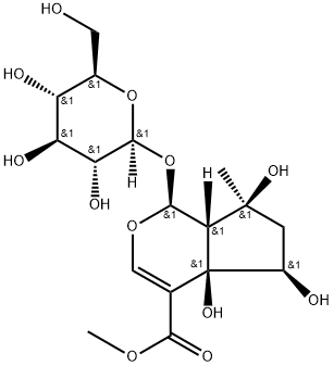 6beta-Hydroxyipolamiide