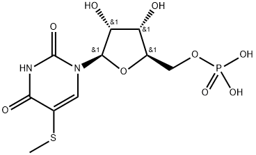 poly-5-methylthiouridylic acid Struktur