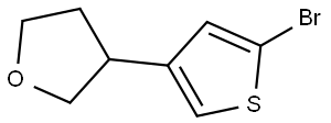 2-Bromo-4-(3-tetrahydrofuranyl)thiophene Struktur