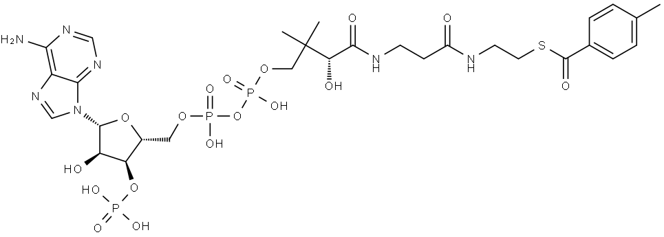 Coenzyme A, S-(4-methylbenzoate) Struktur