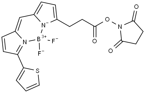 BODIPY 558/568 Succinimidyl Ester Struktur