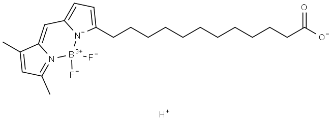 12-BODIPY-dodecanoic Acid Struktur