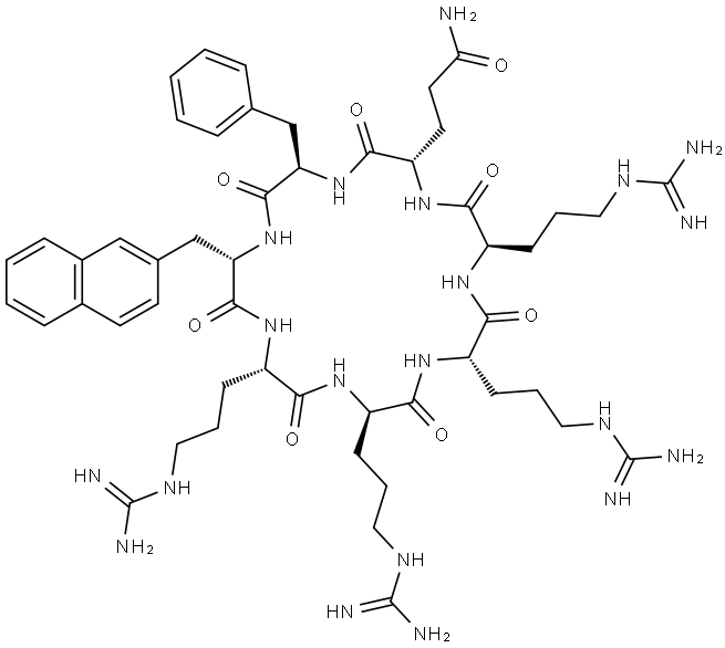 CPP9 Struktur