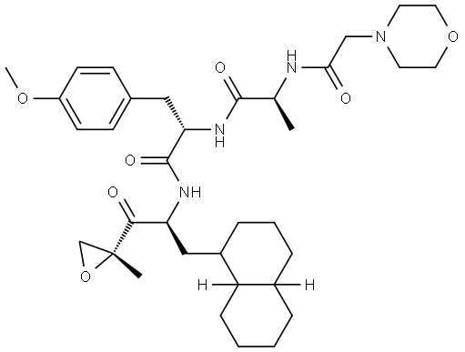 LU-002i Struktur